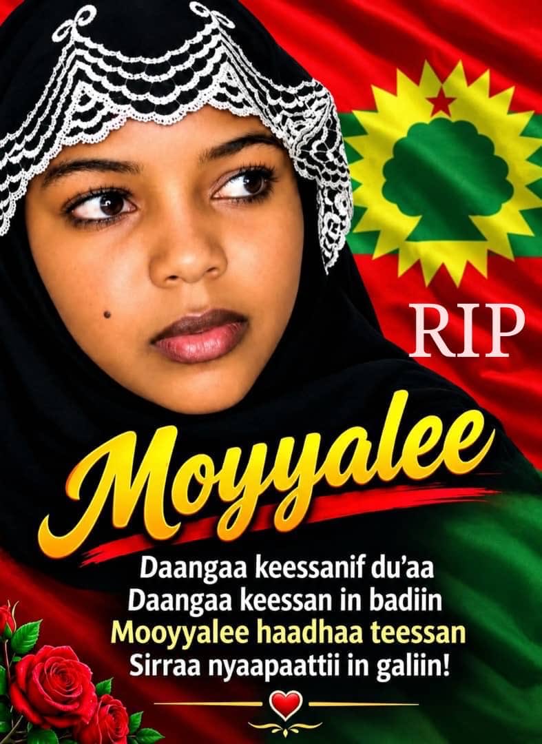 hawwiijatani's tweet photo. https://t.co/1slrThuqTt