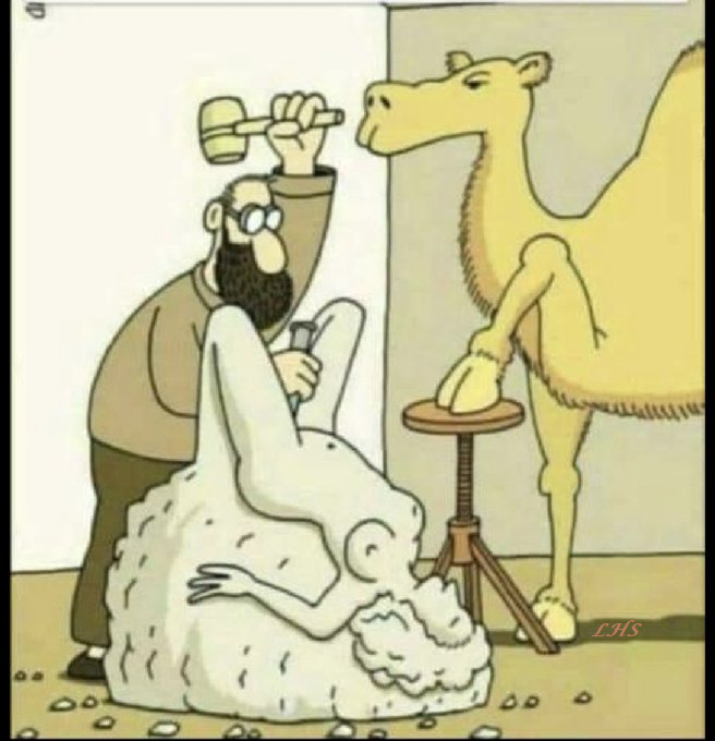 lisahsmithlhs's tweet photo. 🐫😆🤣😂 https://t.co/yJJ9bxhqiv