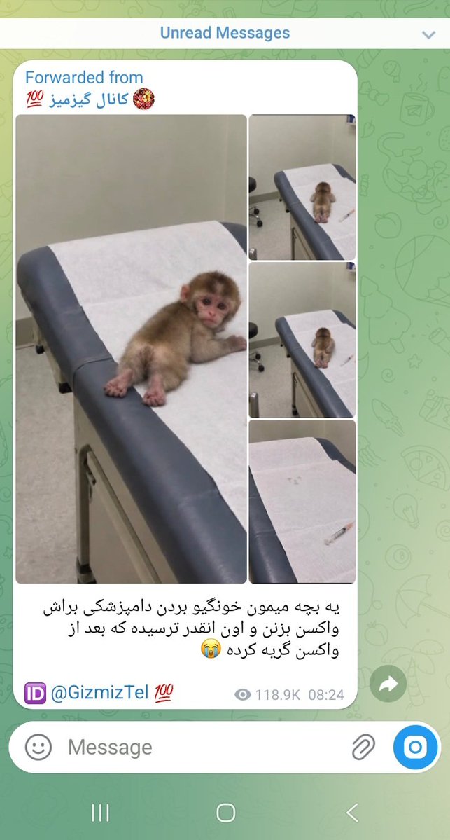 Clloe7's tweet photo. پستایی که دوست ۶۴ ساله ام برام میفرسته: https://t.co/sL2jLWLuOE