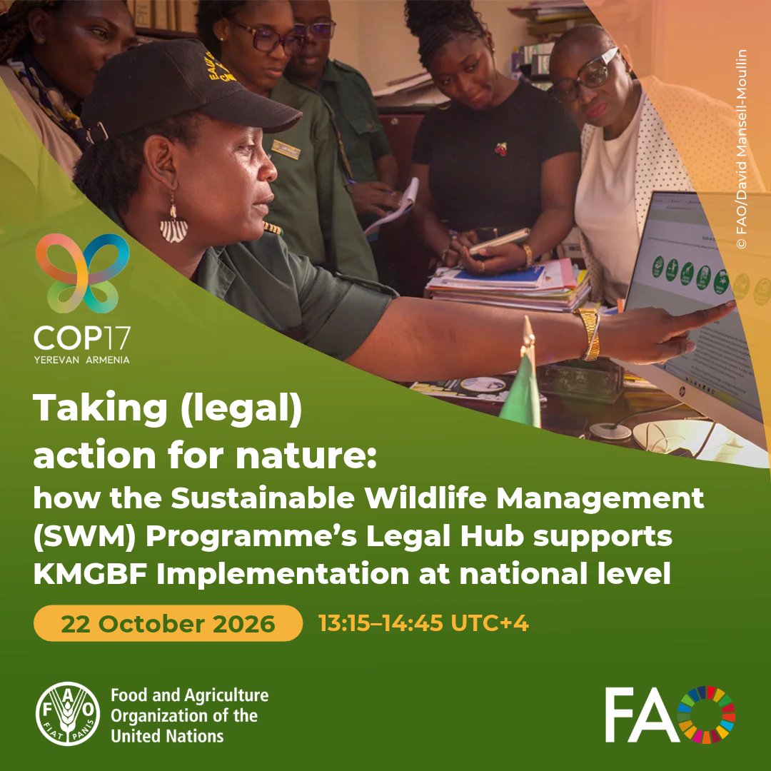 FAOForestry's tweet photo. 🌱Join the #SWMProgramme for a #COP17Armenia side event
Taking (legal) action for nature: how the Sustainable Wildlife Management (SWM) Programme’s Legal Hub supports KMGBF implementation at national level
🗓️ Thurs 22 October 2026
⏰ 13:15-14:45 UTC+4
🎥 https://t.co/HnlZOXOwNn https://t.co/mVabbiqqfQ