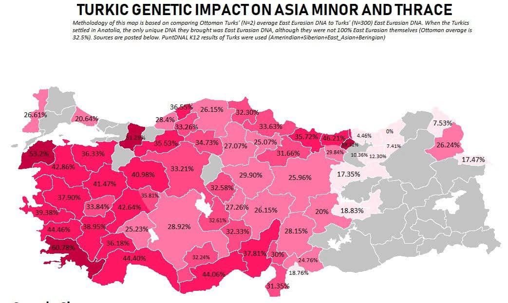 luckv2m's tweet photo. @sxcfxj1 Uyduruyorsunuz. Nazilerden bile daha kafatasçı ve ırkçısınız. https://t.co/jt6r98UVqn