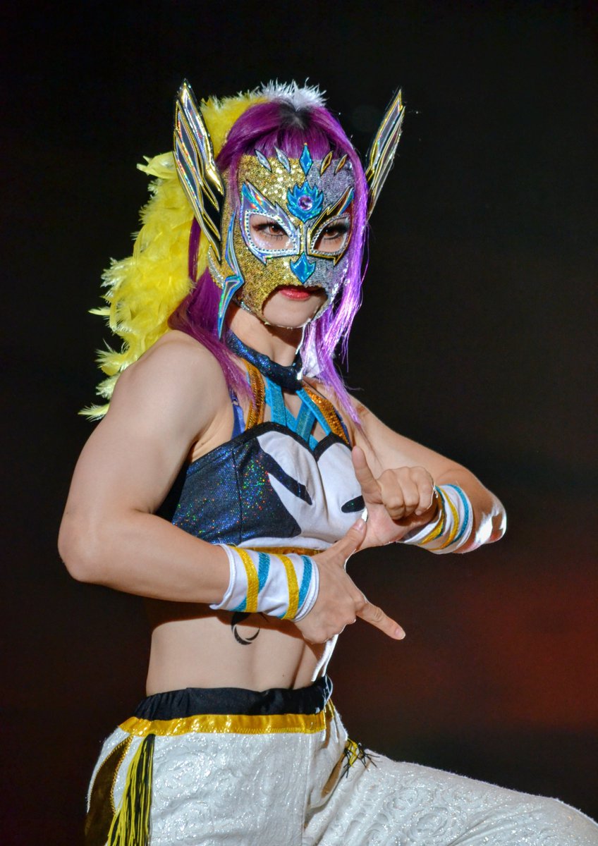 52_suke6_pw's tweet photo. 2025.10.26 両国国技館

１日１ハービィ🐦️

いよいよ明後日両国国技館大会
3Dトリオス奪取できるか

#ハミングバード 選手
#鳥の隊
#pw_mg https://t.co/74GQcXHAk5