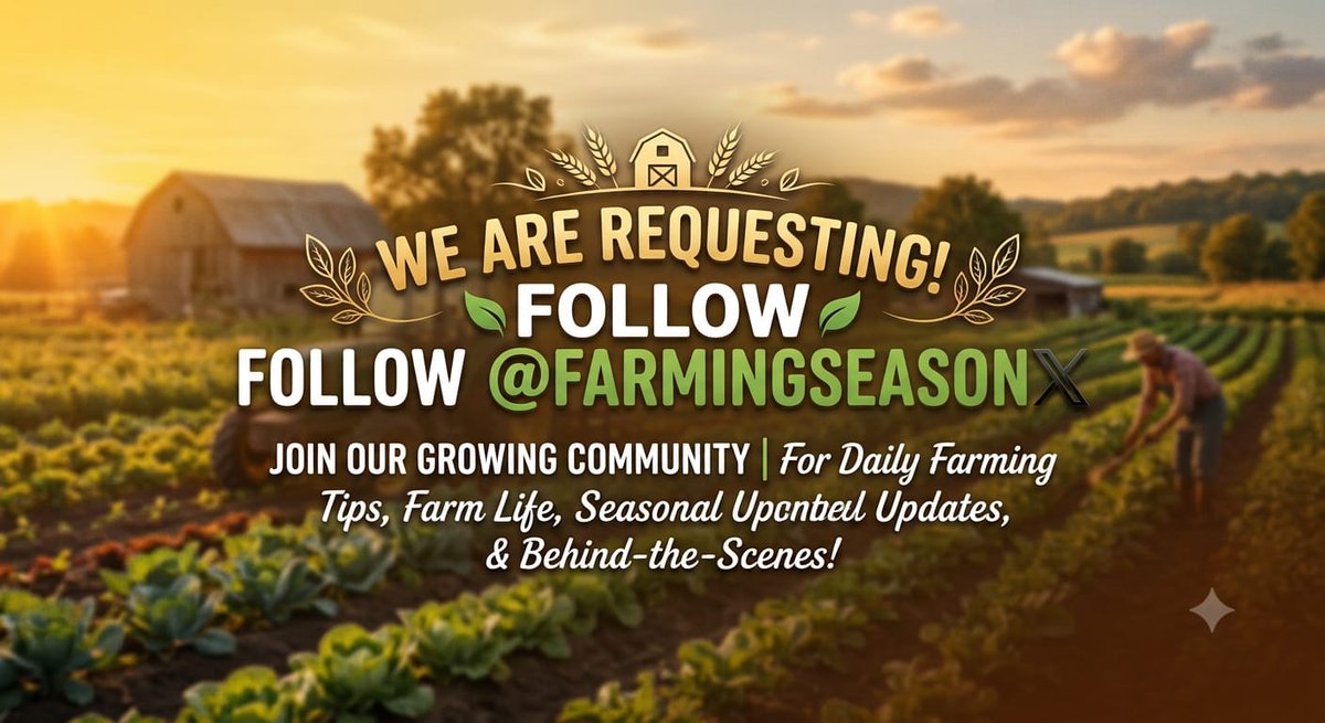 Aquib8745's tweet photo. Just applied for 1 spot on @farmingseasonio  

The goal is simple: 
Creating contant stay active and secure 1 spot in @farmingseasonio 

Please team let me in 🙏 https://t.co/y3UXrzKd0x