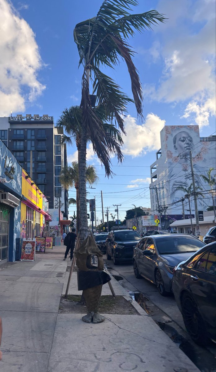 kooolcleooo's tweet photo. a day in the city :)
#miami #Miamibeach #OF #OnlyFansModel #onlyfans #onlyfanscreator #solo #petite #outfit #OOTD #OnlyFansNewbie #fanvue #snapchat https://t.co/lf17gECE86