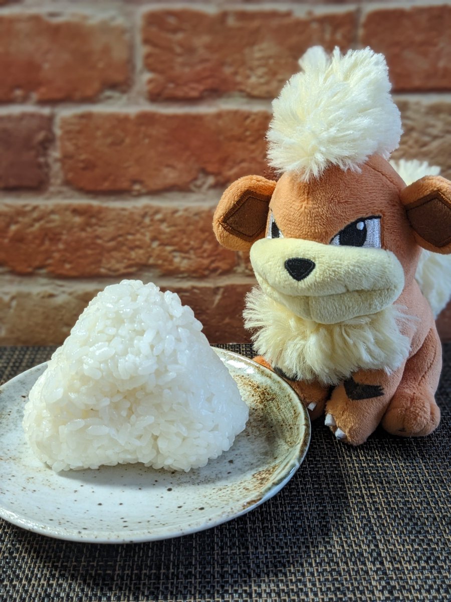 mkazuho's tweet photo. おにぎりアクション🍙
届け給食〜🍚

#OnigiriAction
#ぬい撮り　#ポケモンfit
ガーディ https://t.co/zntzyDFEx0