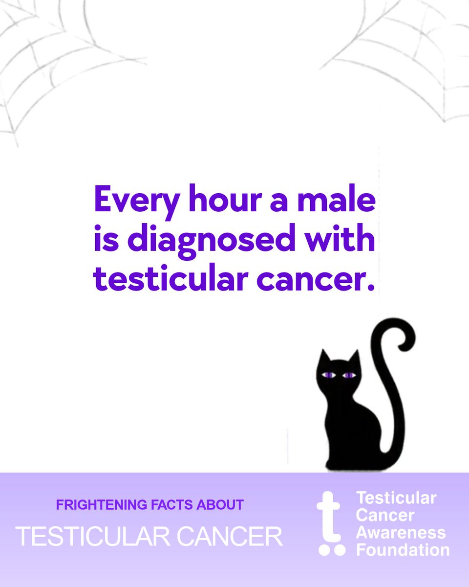 TestesCancer's tweet photo. 👻 Some facts are frightening, but knowledge is powerful!

Testicular cancer can affect males of all ages. Knowing the signs and recognizing changes early matters.

This Halloween, take a moment to learn the facts. 💜

https://t.co/fAh0Cw21A8

#TesticularCancer https://t.co/UCVzfdLmzO