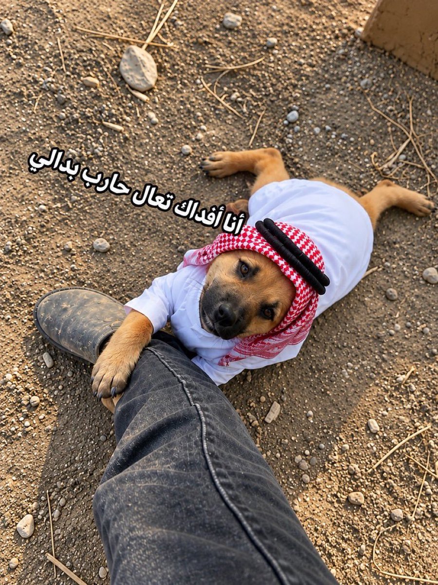 Snbad8's tweet photo. @asa_ksa511 @TawfikOkasha_ https://t.co/lXebWOvN8K