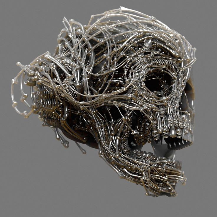 BunnieKat1962's tweet photo. #Skull https://t.co/Hu0Rr0BfpI