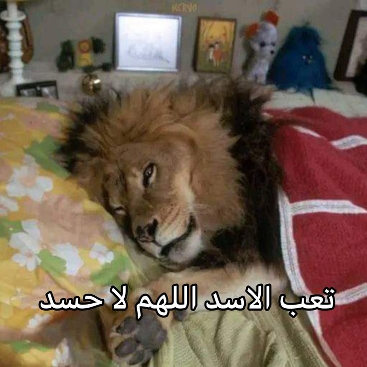 f09667 tweet picture
