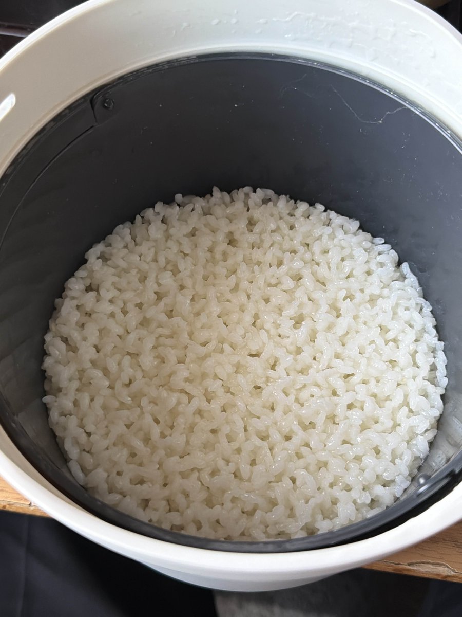 moxplant's tweet photo. why does my rice look ai https://t.co/5qu920BBrh