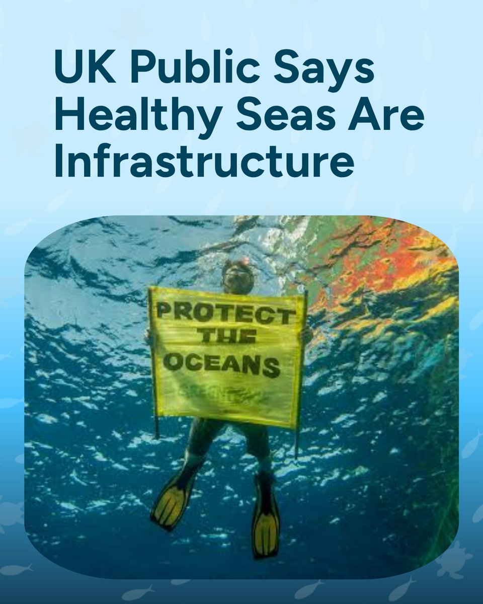Wave_Browser's tweet photo. A healthy ocean powers far more than we realize, from the food we eat to the energy and jobs coastal communities rely on. That’s why a growing number of people in the UK want it protected like the roads and power grids we count on every day.

New YouGov polling for the Marine Conservation Society shows the public is ready for ocean recovery to become a national priority. The message to decision-makers is clear: protecting the ocean is protecting our future. 🌊

#OceanConservation #OceanHealth #OceanSecurity #OceanNews #WaveBrowser