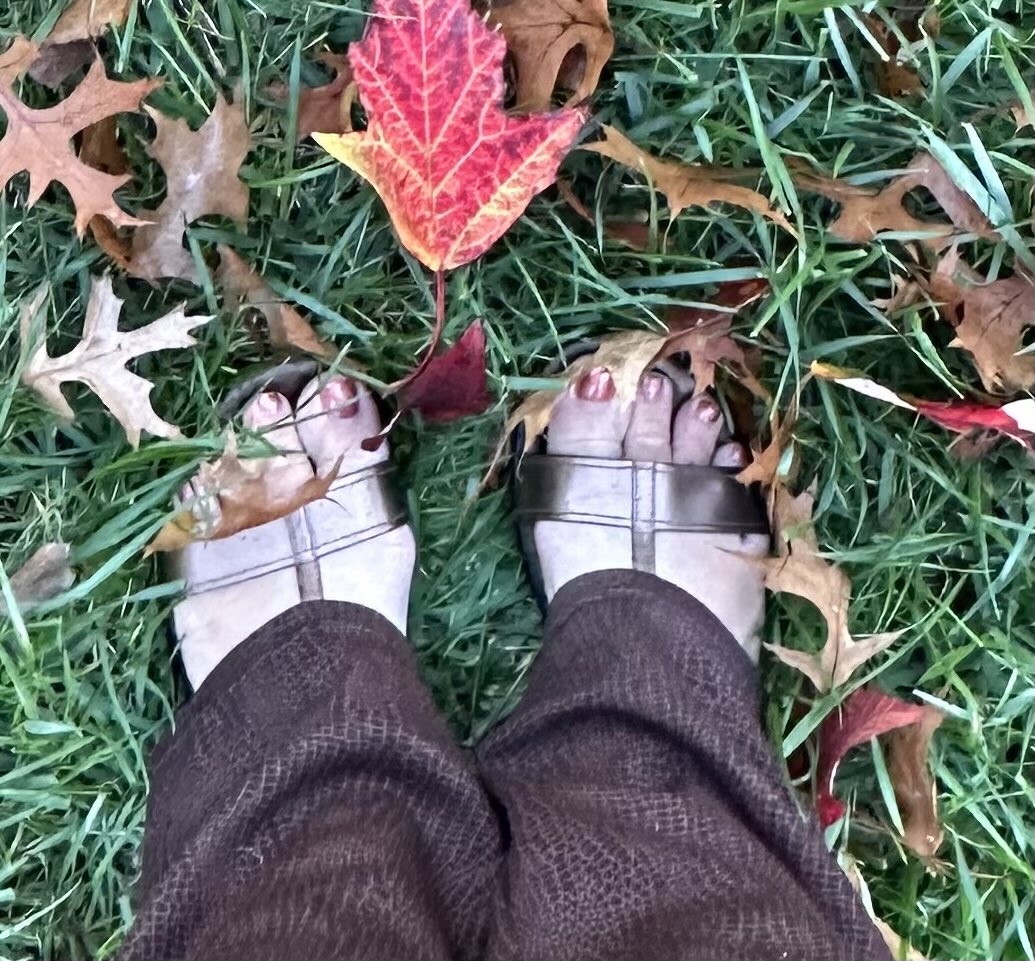 PrincessPedis1's tweet photo. I’m NOT ready for Fall! https://t.co/UXIPQFbl6P