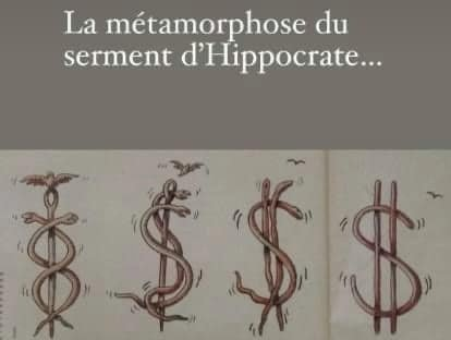 Ouille_le_code's tweet photo. @YvesPDB ca rapporte  pas assez! tu vois pas ? https://t.co/uZyrumOIhP