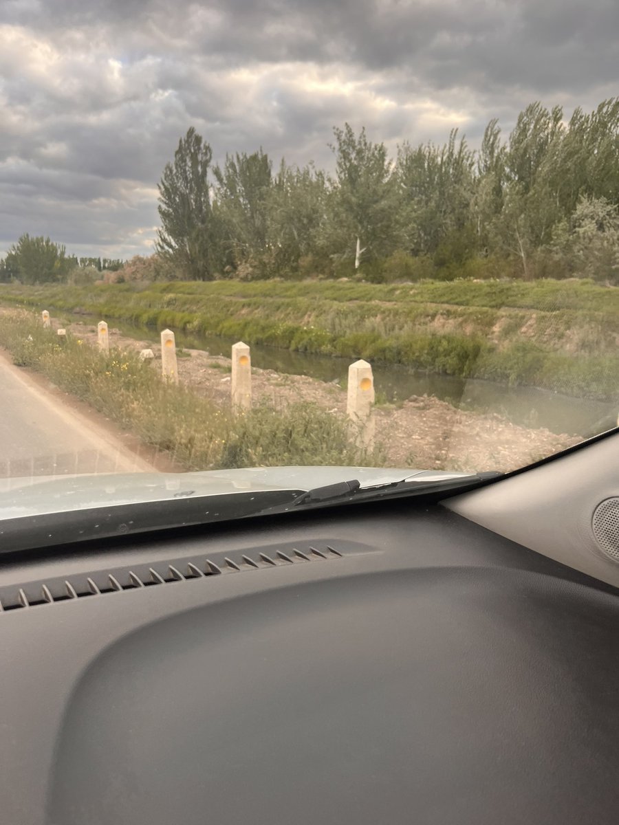 Lariten's tweet photo. Yo sé que la mayoría no soporta esta lluvia eterna pero lo verde que está Neuquén no lo vi nunca en mi vida. Hay flores hasta en las veredas de tierra. https://t.co/gyhQfah1kQ