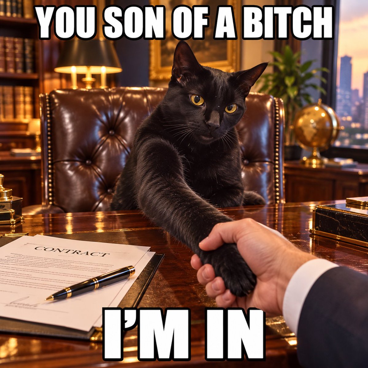 handshakecat's tweet photo. CA: 0x651ac0367f33d3c287d19451599037e34a7c8d01 https://t.co/NtrOHpCyad
