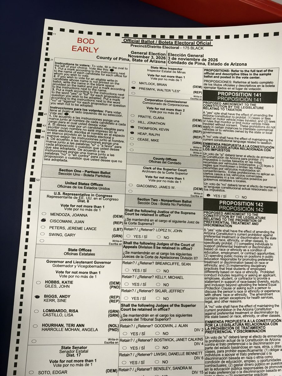 CerisLioness's tweet photo. I voted RED today… against every Democratic candidate on the ballot in Arizona! 🌵 🙌🏻 https://t.co/VBoUhFaKyx