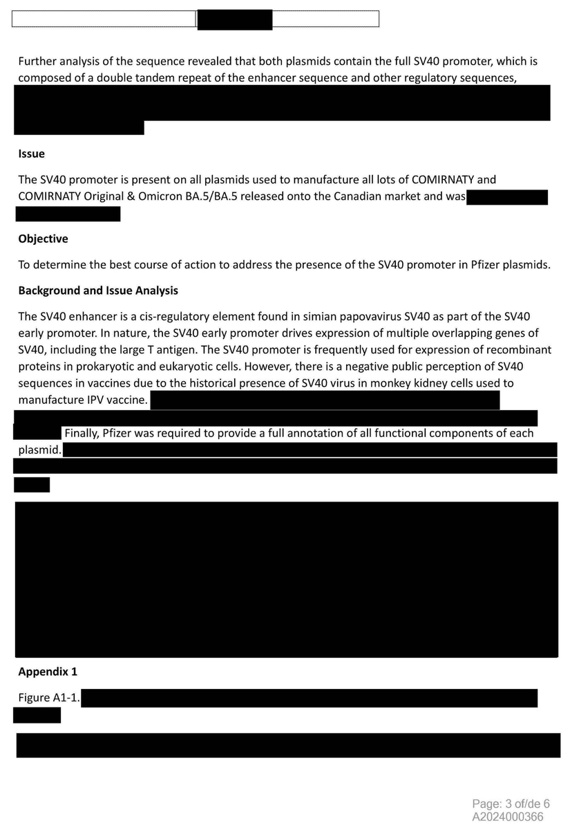 scoopsmcgoo's tweet photo. SV40 reveal: before, during, after lawsuit

Info Commissioner ordered disclosure of Health Canada’s review into Pfizer shot DNA contamination, but HC only partially complied. An application in Federal Court forced HC to unredact the rest the day before their affidavit was due. https://t.co/UOrdCOQm2y