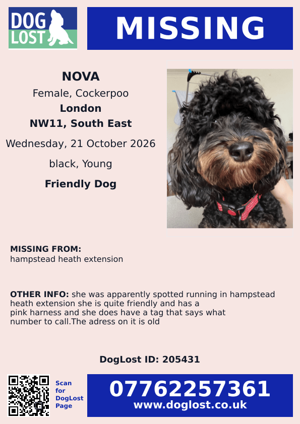 millypod1's tweet photo. 🆘21 OCT 2026 #Lost Nova #ScanMe #Tagged
YOUNG Cockerpoo Female #PUPPY
#HampsteadHeath Extension #NW11
County #London #GreaterLondon
she is quite friendly and has a pink harness and she does have a tag that says what number to call.
The adress on it is old
https://t.co/azmVuRsHdb https://t.co/WqBrKNWyJH