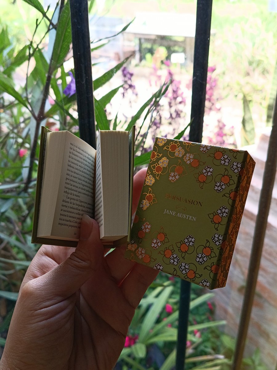 saucedo72152's tweet photo. 2do minilibritos🙈
#salvat 
#libros 
#LibrosRecomendados https://t.co/NZJjzCPULK