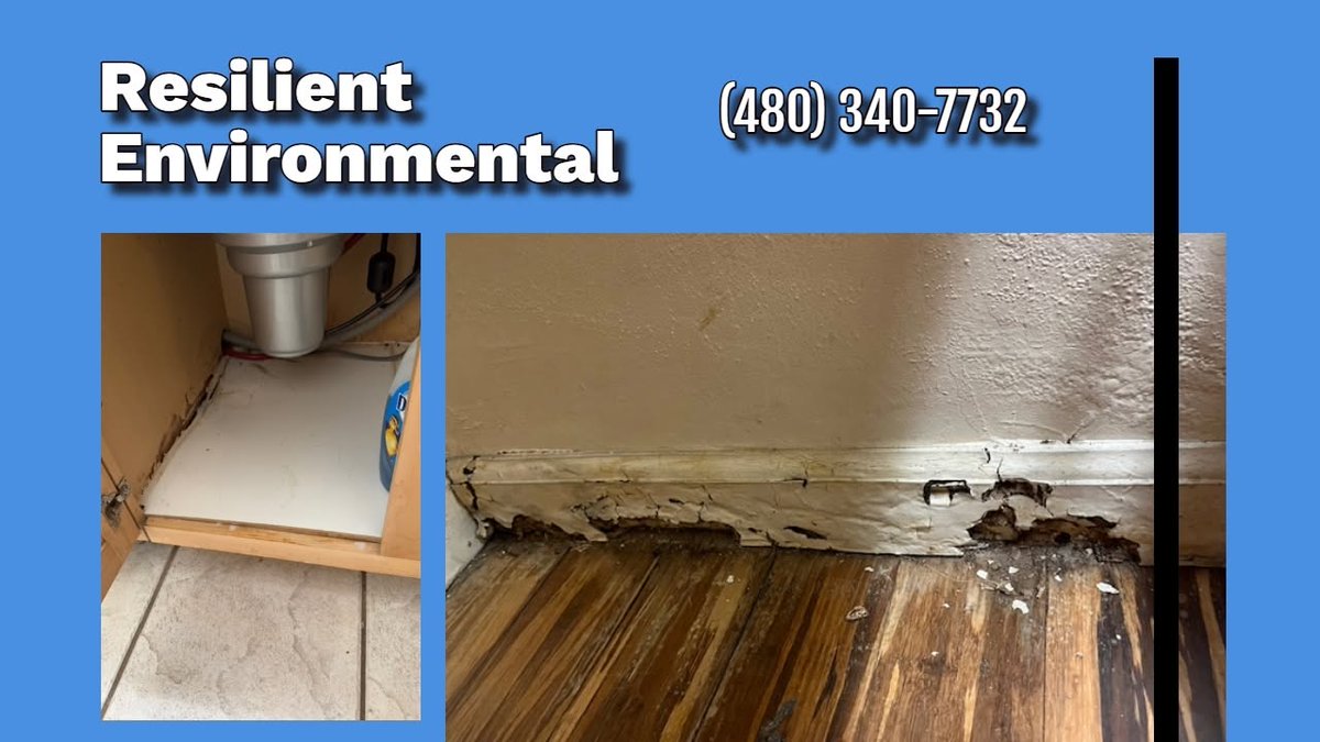 FillMershon's tweet photo. https://t.co/1vLdqxdCrg
Resilient Environmental, LLC is a full service environmental firm located in Phoenix, Arizona.
#ResilientEnvironmental #EnvironmentalTesting #GreaterPhoenix https://t.co/nJAug9YhaF