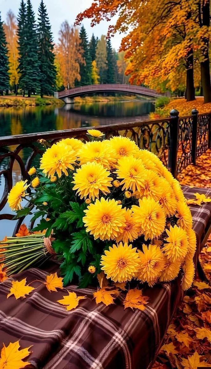 gtYBFzGuwmHC2uC's tweet photo. @Silau25 Beautiful 
Good morning 🌾🍂🍁 https://t.co/HMsdtCBpEa