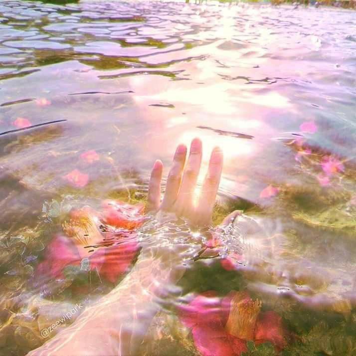 aestheticpost's tweet photo. https://t.co/yZhU0t47HD