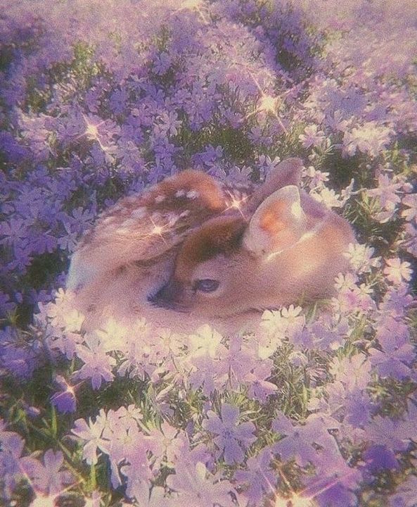 aestheticpost's tweet photo. https://t.co/yZhU0t47HD