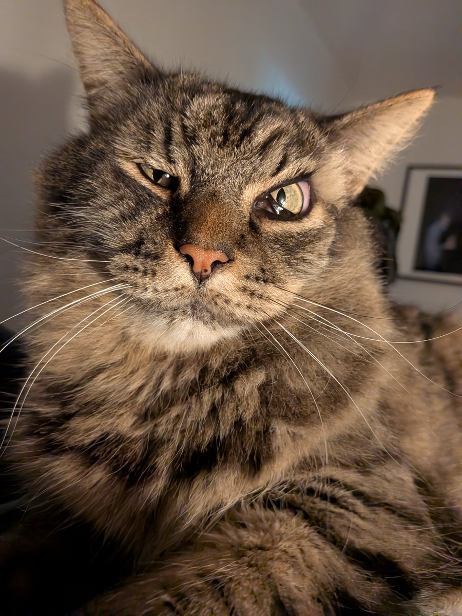 boyar_dad's tweet photo. a very compassionate Marf to get you through today https://t.co/XYzxiLOj4S
