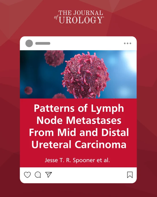Image from Journal of Urology (@JUrology)
