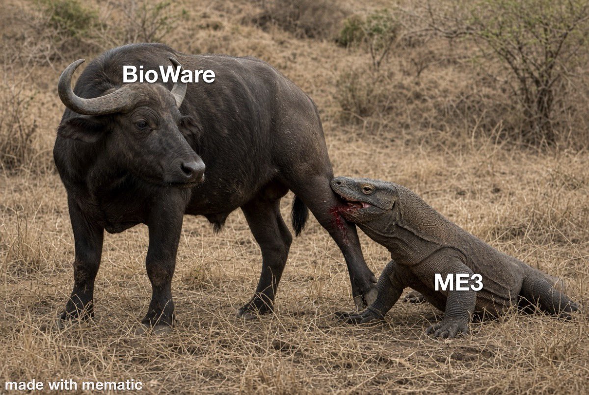 WolvWhite117's tweet photo. @bioware https://t.co/Wl7RChgUzI