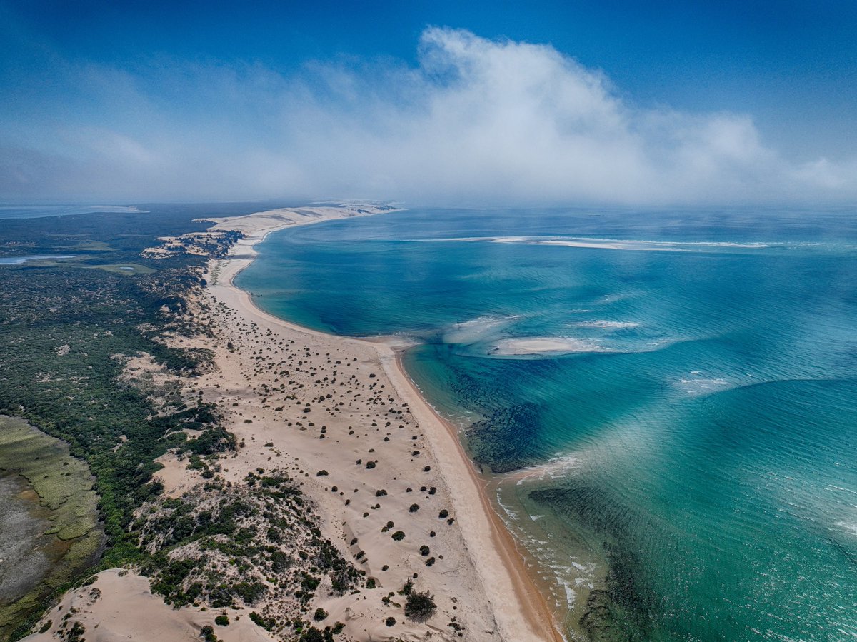 Rotatehq's tweet photo. Off Mozambique's coast lies an archipelago where dugongs still graze in the shallows. Only 250-350 are left in the western Indian Ocean, and this is their last viable home. https://t.co/p36DlMKH1H