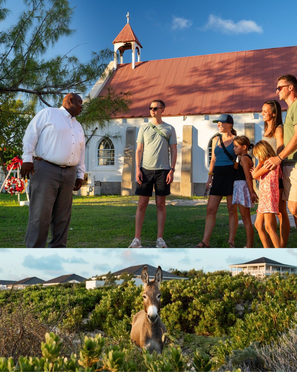Sailrockresort's tweet photo. What does "immersion-based travel" mean to you? To us, it means:

🐠 diving into vibrant marine life
🏝️ kayaking scenic sandbars and creeks
🦞 witnessing centuries-old fishing traditions
🫏 uncovering eras of island history

Experience more Sailrock — https://t.co/f9tU9PeDFo https://t.co/gWnXXNwCsx