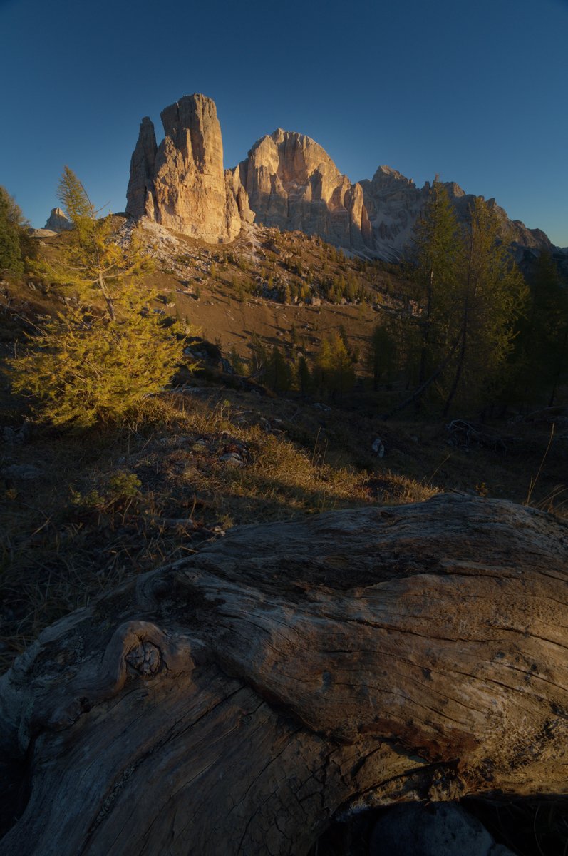 akgul_htc's tweet photo. Bu ışık için uykusuz kalmaya değerdi.

Dolomitler’de sabah; gölgelerde gecenin soğuğu, ağaçlarla kayalarda güneşin altın rengi.

Sizi önce hangisi yakaladı: ışıklı zirveler mi, ön plandaki ahşabın kıvrımları mı?

#Dolomites #LandscapePhotography https://t.co/KixLEmSLwj