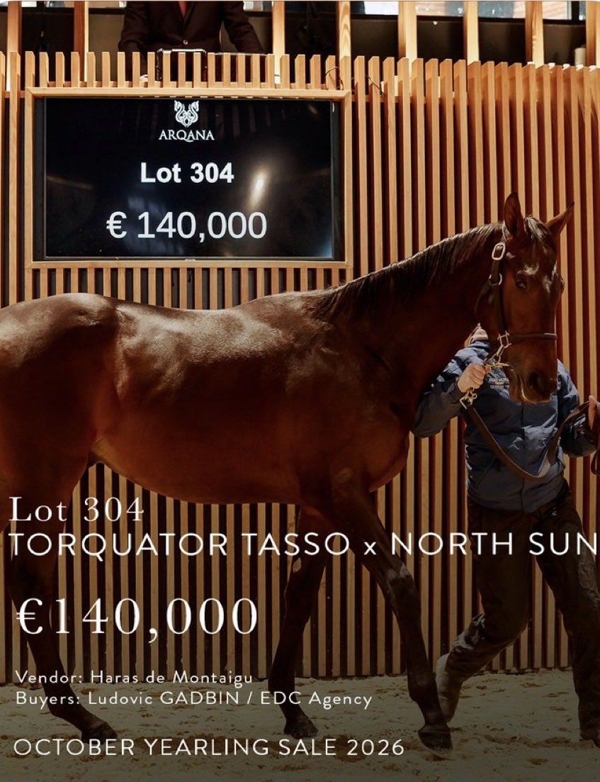 LGadbin's tweet photo. Lot 304 @InfoArqana 
N(NORTH SUN 2025) / Colt

Buyer : @LGadbin / EDC Agency

@HarasMontaigu https://t.co/E0f48A95Os