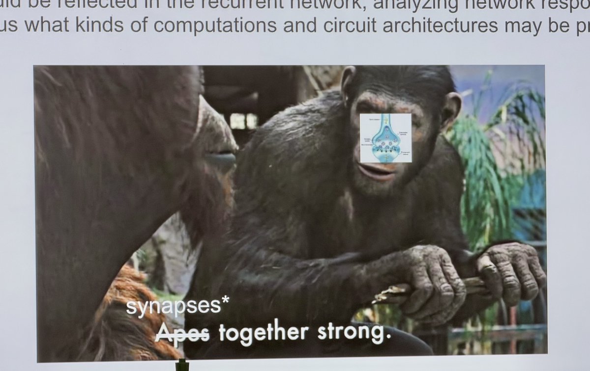 HistedLab's tweet photo. Synapses together strong” 😀

From our lab meeting today, a student using a modified meme to illustrate the (important!) point that many weak synapses can sum to produce large effects; recurrent network effects that modify neurons’ activity. Yes. 🧪 #neuroscience https://t.co/enT1InlAsP