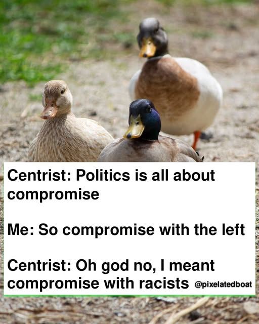 BionicDance's tweet photo. #Centrists can slurp my butt. https://t.co/QfCSdS6QIO