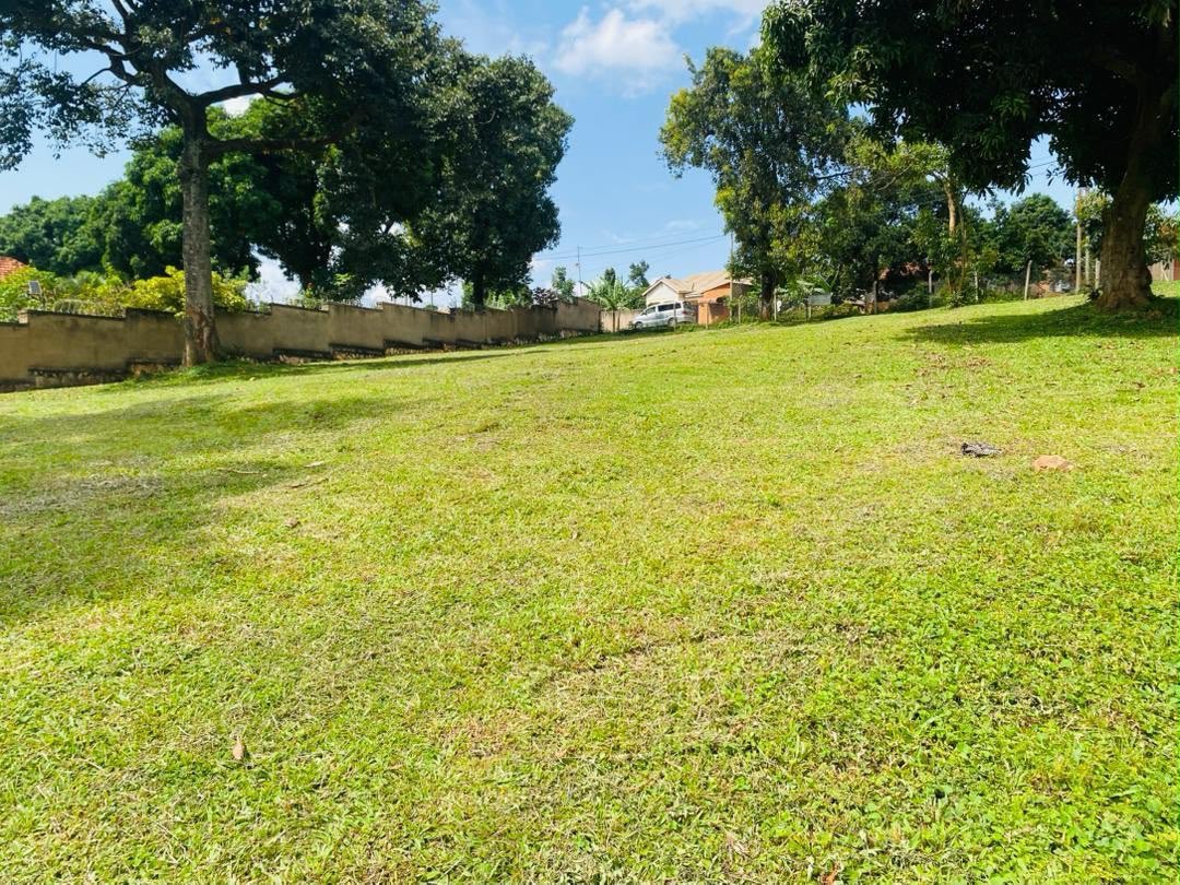 Tuzzaproperties's tweet photo. 0.99-acre vacant land for sale in Mpererwe/Namere, Kampala, with a Private Mailo title, approximately 1 km from the main road, water and power available, asking UGX 600M Negotiable! 

Call/WhatsApp: 0754749093 https://t.co/WbRHnRkA4U