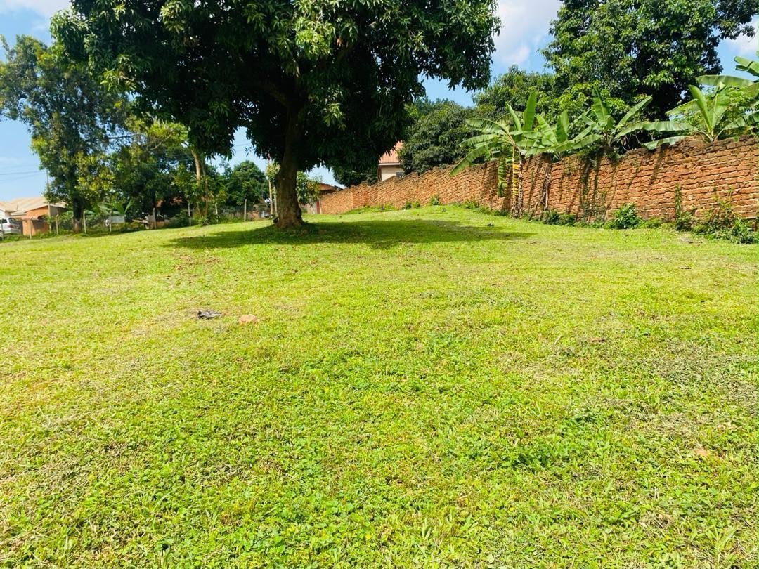 Tuzzaproperties's tweet photo. 0.99-acre vacant land for sale in Mpererwe/Namere, Kampala, with a Private Mailo title, approximately 1 km from the main road, water and power available, asking UGX 600M Negotiable! 

Call/WhatsApp: 0754749093 https://t.co/WbRHnRkA4U