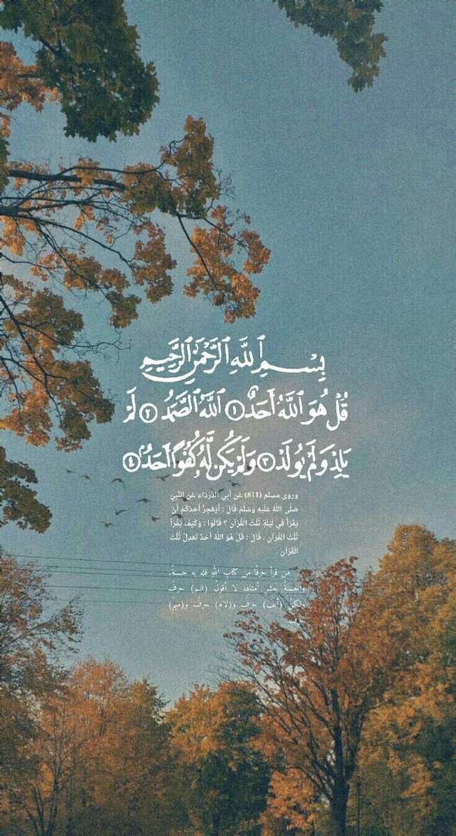 Ds4ZicAPwj9mh8r's tweet photo. 🩵💚🩵

﴿ قُلْ هُوَ اللَّهُ أَحَدٌ ۝ اللَّهُ الصَّمَدُ ۝ لَمْ يَلِدْ وَلَمْ يُولَدْ ۝ وَلَمْ يَكُن لَّهُ كُفُوًا أَحَدٌ ۝ ﴾

🩵💚🩵

@R_t_d3wa 
@___do3a @tmam_20121 https://t.co/700oj07tGA
