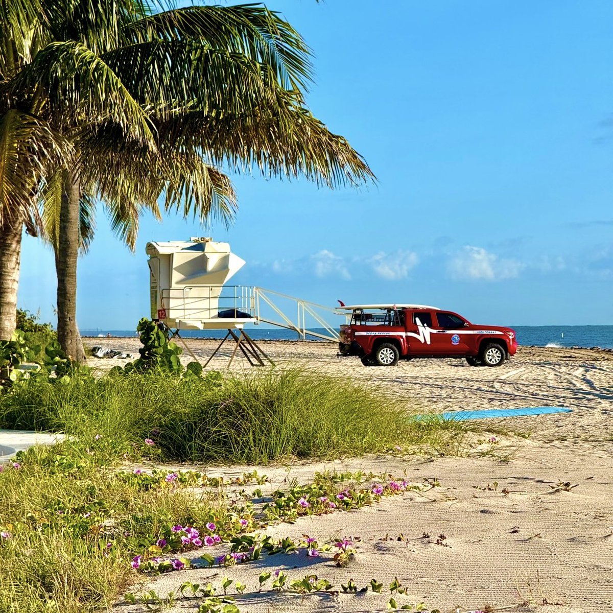 stefanobury's tweet photo. Florida in the Fall https://t.co/GbDo0Zgfnd