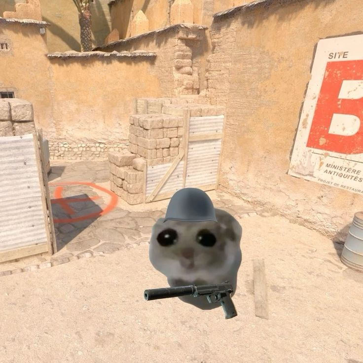 cs2_thief's tweet photo. Me holding B alone ☹️ https://t.co/GgBt4luDxu