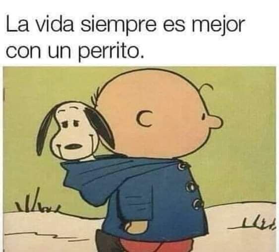 rey_latino33087's tweet photo. https://t.co/GmrcW3nuVo