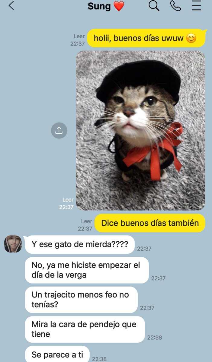 maaybemimi's tweet photo. One tweet minsung au - #minsung 

Dónde jsng amanece de mal humor y mnh solo quería mostrarle a su gato https://t.co/fNmcwvzcBW