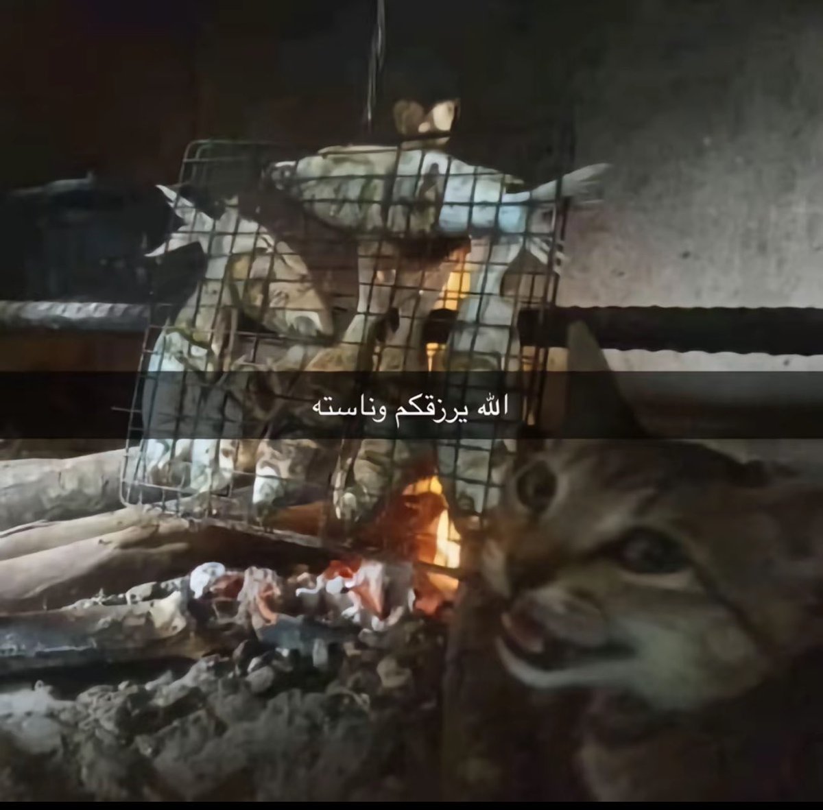 iNa9eir tweet picture
