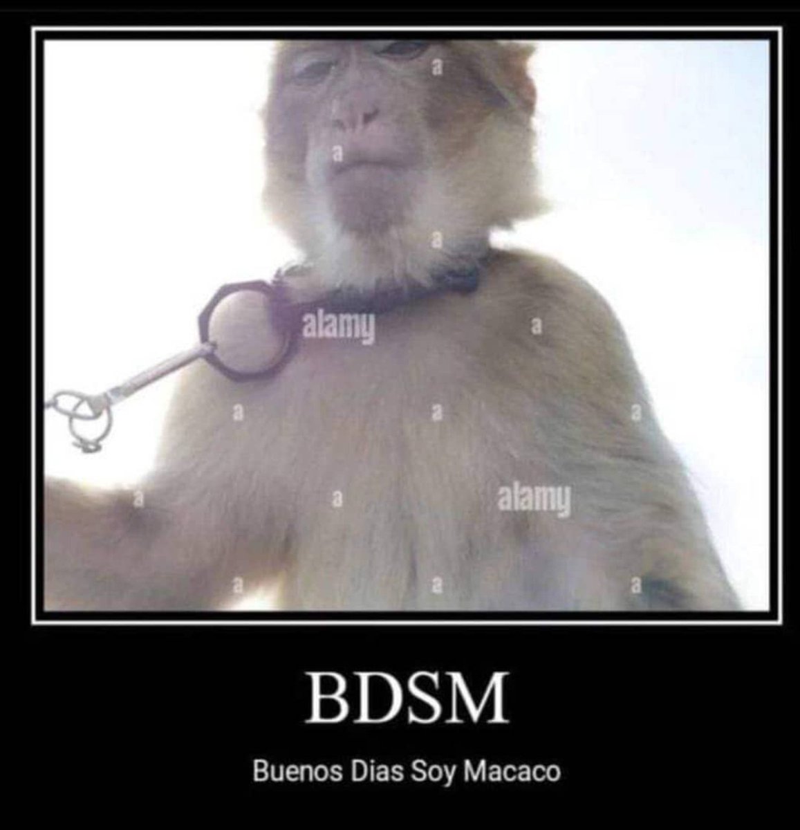 Mapaxitouwu's tweet photo. Tardes ya que bárbaro. https://t.co/eAXmnCQTx5