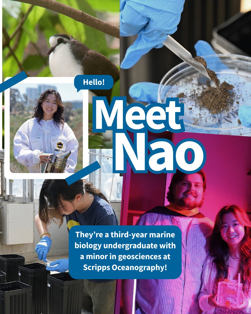 Scripps_Ocean's tweet photo. 🌱 Meet Nao Song, a Scripps undergraduate researching how microalgae could provide agricultural soils with a more sustainable source of plant-available phosphorus.

Learn more about Song’s research, mentorship and path to Scripps: https://t.co/Q68AElikX7 https://t.co/6ungQMP3FQ
