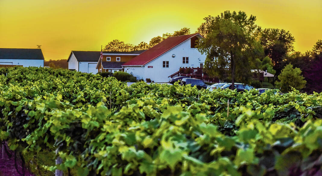 DailyJournalNet's tweet photo. Mallow Run Winery to close tasting room in December after more than 20 years dailyjournal.​net/2026/10/21/mallow-run-winery-to-close-tasting-room-in-december-after-more-than-20-years/ https://t.co/yCEP83bCXY