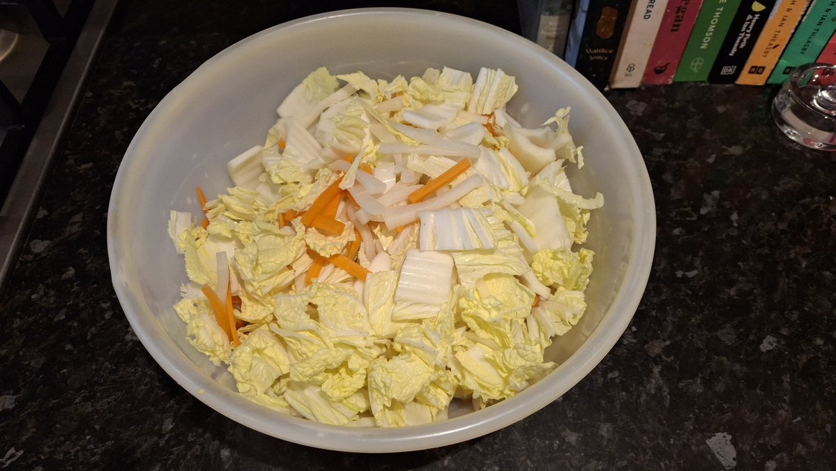 SquidTempest's tweet photo. First attempt at making kimchi! https://t.co/h4TyJVZFVq