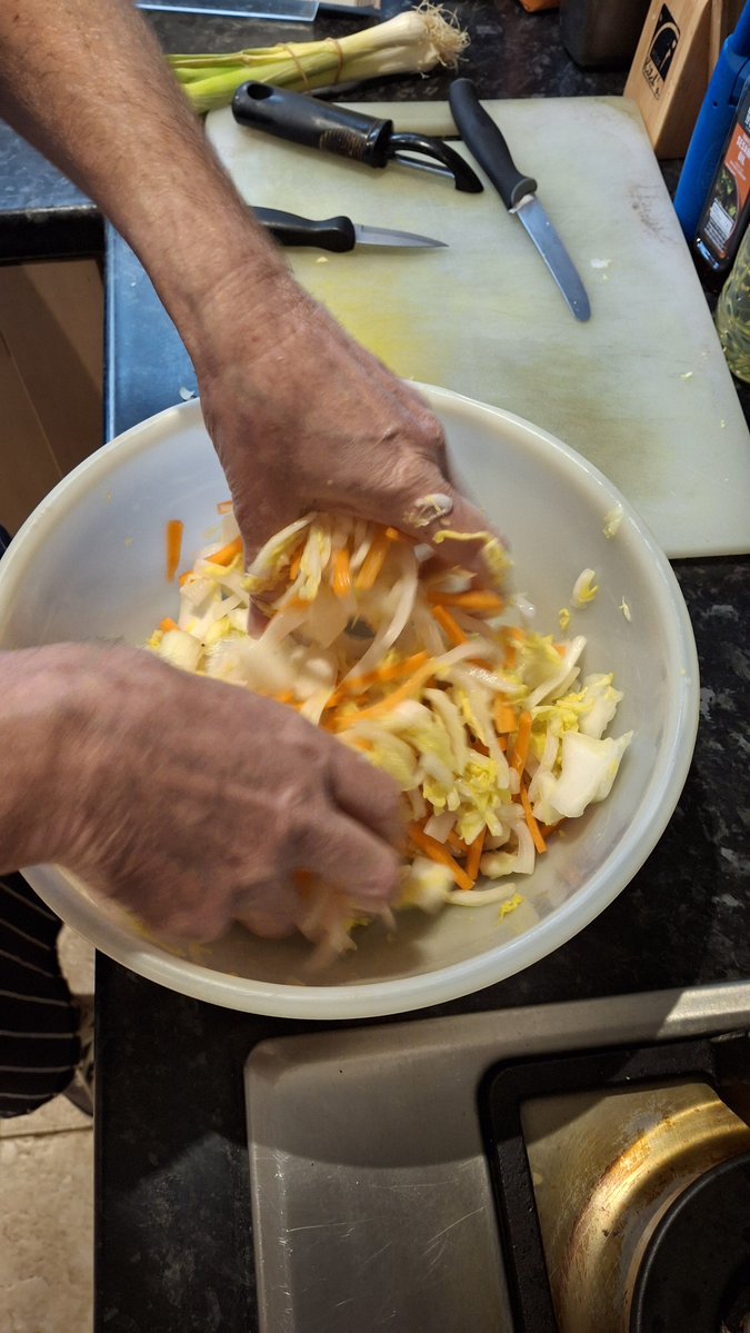SquidTempest's tweet photo. First attempt at making kimchi! https://t.co/h4TyJVZFVq