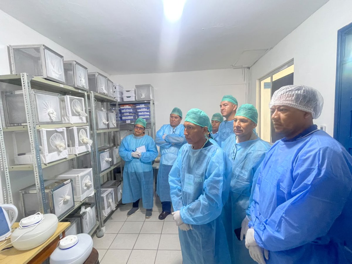 OPSOMSBolivia's tweet photo. Bolivia fortalece su red nacional de laboratorios de entomología médica para generar información oportuna, anticipar riesgos y orientar el control de vectores. 👨‍🔬25 técnicos, 📍17 municipios 🌐6 departamentos. Con apoyo técnico de #OPS y el proyecto #Protect del #BancoMundial. https://t.co/IlsBkAbvwJ